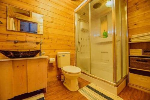 鹿谷的住宿－溪頭紅瓣天民宿，木制浴室设有卫生间和淋浴。