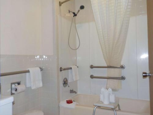 a bathroom with a shower and a toilet and a sink at SureStay Hotel by Best Western Greenville in Greenville