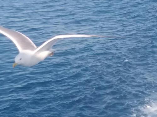 Φυσικό τοπίο κοντά σε αυτό το διαμέρισμα