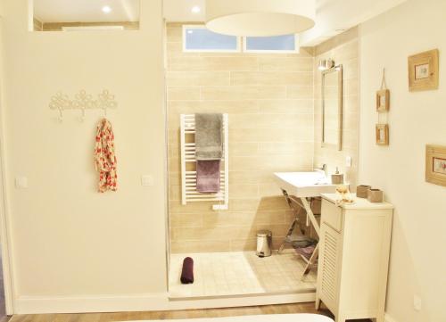 a bathroom with a shower and a sink at L'Appart D'Oli et Tiane in Bordeaux