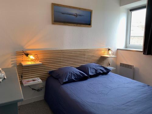 - une chambre avec un lit bleu et 2 oreillers dans l'établissement Joli 2 pièces Rénové au Calme à Saint-Malo/Quartier Saint Servan, à Saint-Malo