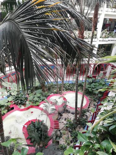 a garden with palm trees and red flowers and plants at Benalbeach JR Suite in Málaga