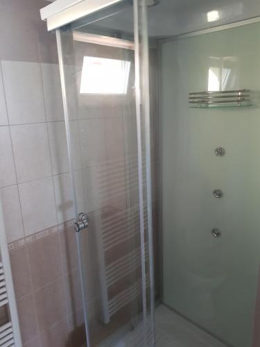a shower with a glass door in a bathroom at Pagrepe apartman in Balatonvilágos