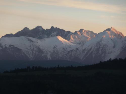 a group of snow covered mountains with trees in the foreground at Dom Sosenek in Kluszkowce