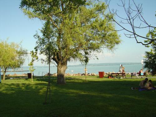 a tree in a park with people sitting on the grass at Ferien im Naturschutzgebiet in Kékkút
