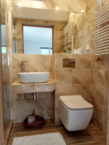 a bathroom with a sink and a toilet and a mirror at W Chmurach in Karpacz