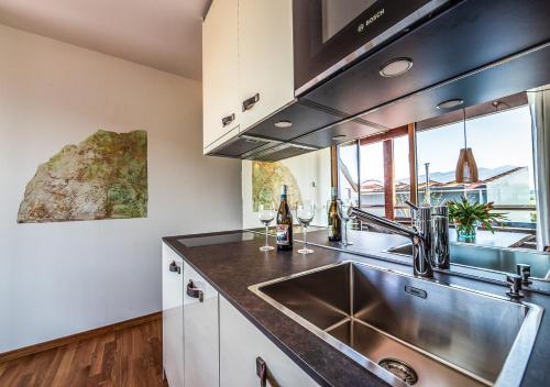 Kuchyň nebo kuchyňský kout v ubytování Ferienwohnungen Boardinghouse Bodensee