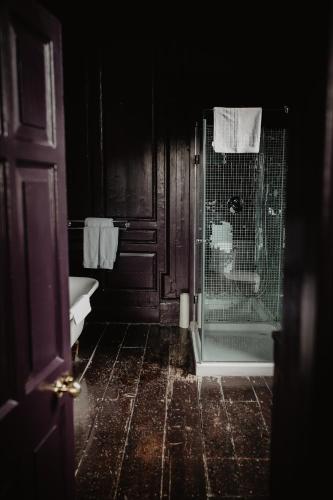 a bathroom with a shower and a toilet and a sink at Bellinter House Hotel & Spa in Navan