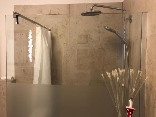 a shower in a bathroom with a shower curtain at Ferienwohnung Burgenblick mit Blick auf Riedenburg in Riedenburg