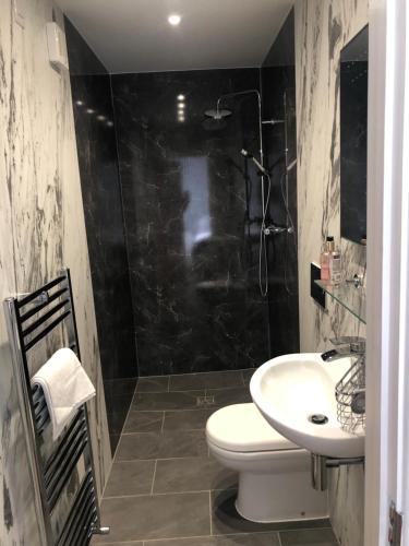 a bathroom with a white toilet and a sink at Welsh Marches at Upper Glyn Farm in Chepstow