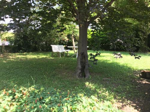 Jardín al aire libre en Cosy Flat
