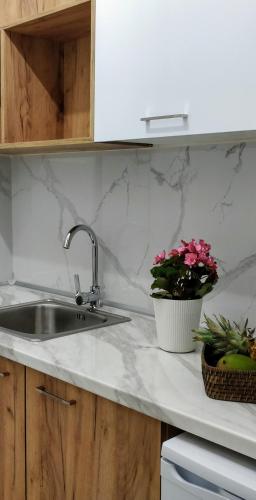 a kitchen with a sink and flowers on a counter at Afytos Sivilla in Afitos