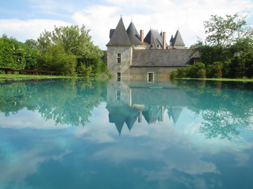 een kasteel in het water met zijn reflectie bij Château de Vaulogé in Fercé-sur-Sarthe