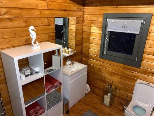 a bathroom with a sink and a toilet and a window at Long Wood Lodges in Knighton
