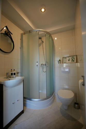 a bathroom with a shower and a toilet and a sink at Siedlisko Vincent in Szydłów
