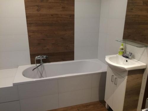 a bathroom with a bath tub and a sink at Apartmán Židovice in Louny