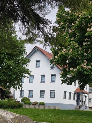 ein weißes Haus mit Bäumen davor in der Unterkunft Pension zum Hecht in Schemmerberg