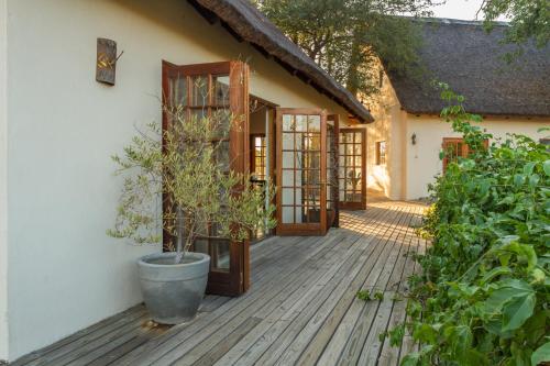 a porch of a house with a potted plant at Mbizi Bush Lodge in Grietjie Nature Reserve
