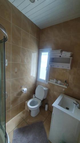 a bathroom with a toilet and a sink and a window at Rose Park House in Derry Londonderry