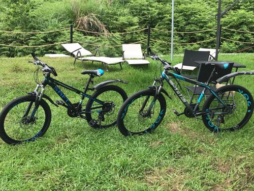 two bikes parked in the grass next to a chair at Guest House Botanical Paradise in Mtsvane Kontskhi
