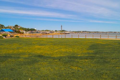 a field of green grass next to a body of water at Provincetown Inn in Provincetown