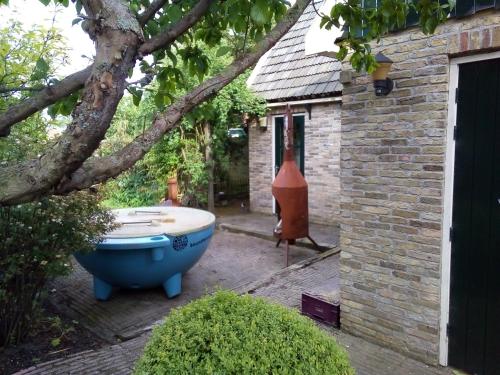 Taman di luar Tinyhouse op Terschelling