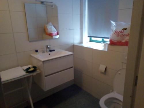 Bilik mandi di Tinyhouse op Terschelling