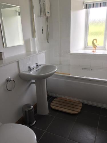 a bathroom with a sink and a tub with a duck in the window at Heathfield Highland Estate in Invergordon
