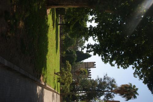 Hostal Alcázar