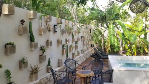 Eine Wand mit einem Haufen Topfpflanzen drauf. in der Unterkunft Trece Lunas Tulum - Adults Only Enchanted Resort in Tulum