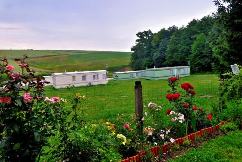 a field of flowers with houses in the background at Leśny Zakątek Radocza in Radocza