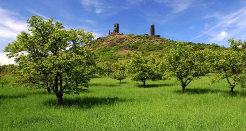 a grassy field with trees in front of a hill at Apartmán Třebenice - vstupní brána do Českého středohoří in Třebenice