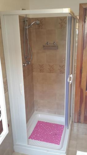 een badkamer met een douche en een roze douchemat bij Casa vacanze Mare in Parghelia