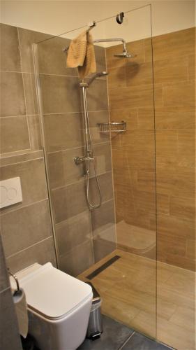a shower stall with a toilet in a bathroom at Primo Relax in Starý Smokovec