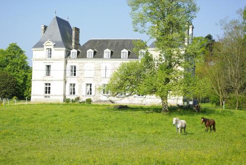 two horses standing in a field in front of a castle at Le Rossay in Saint-Clément-de-la-Place