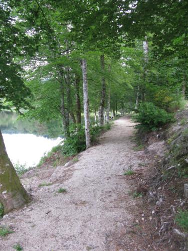 a dirt road with trees and a body of water at La maison in Tarnac