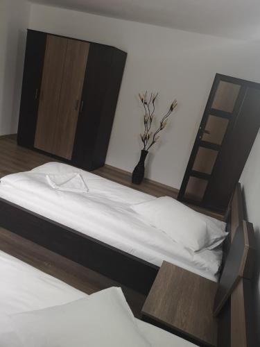 Gallery image of Vila Lion in Sebeş