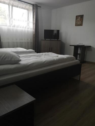 Gallery image of Vila Lion in Sebeş
