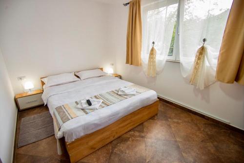 a bedroom with a bed and a large window at Pensiunea Axenia Ale in Vişeu de Sus