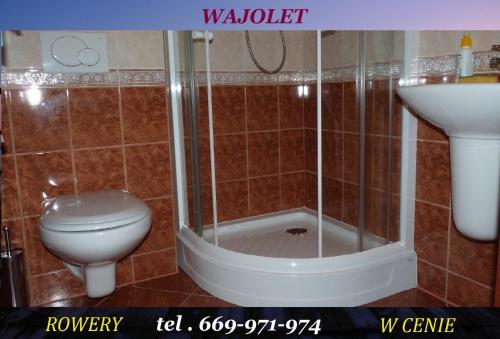 a bathroom with a shower and a toilet and a sink at Wajolet in Władysławowo