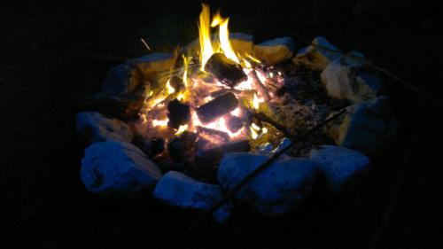 a fire is burning in a fire pit at ARCHE Hof Öbristhof in Kleinarl