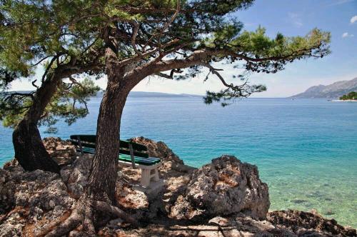 Gallery image of Apartmani Milka i Jozo in Omiš