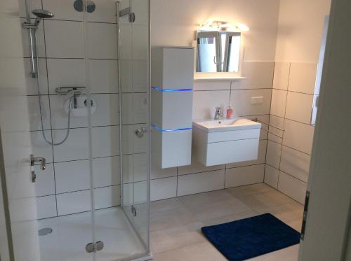 bagno con doccia e lavandino di Ferienwohnung Lahntal Limburg a Limburg an der Lahn