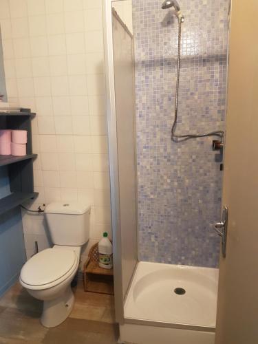 a bathroom with a toilet and a shower at Gîtes chez Daniel "Cevennes 1" in Mars