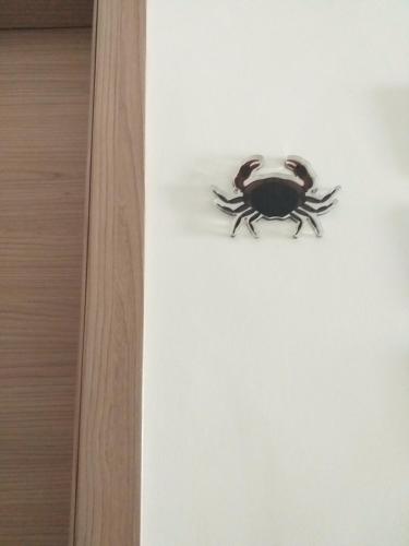 a black spider sitting on a white wall at B&B Marsà in Marzamemi