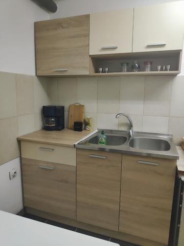 a kitchen with wooden cabinets and a sink at Just nature in Novi Sad