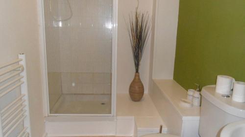 a bathroom with a toilet and a vase with a plant at 1 Tŷ Mona Church Street Apartment in Llangefni