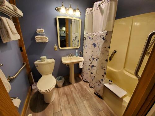 a bathroom with a toilet and a sink and a shower at The Barn Inn Bed and Breakfast in Millersburg
