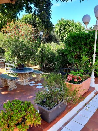 a garden with plants in pots on a patio at Grotta dei Puntali B&B in Carini