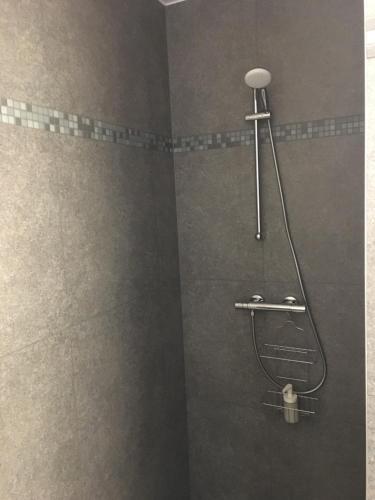 a shower with a shower head in a bathroom at Casa Akuta Airport Flat in Kortenberg